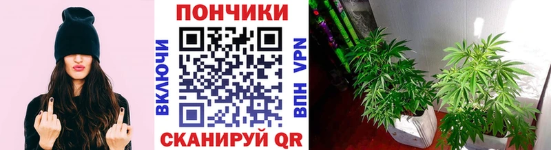 Виды наркоты Дербент Альфа ПВП  кракен зеркало  Кокаин  Меф  ГЕРОИН  ГАШИШ  Каннабис 