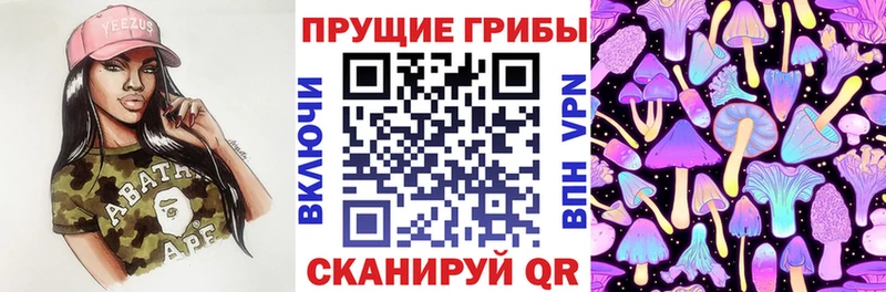 Галлюциногенные грибы Psilocybine cubensis  ссылка на мегу ONION  Дербент 